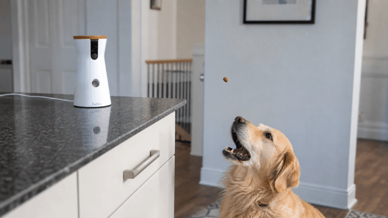 Wifi pet camera review — dog catching a tossed treat from a smart camera device