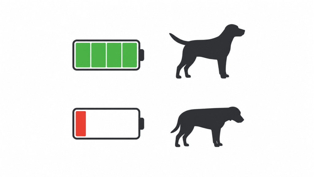 Illustration comparing long battery life versus frequent charging for GPS dog trackers